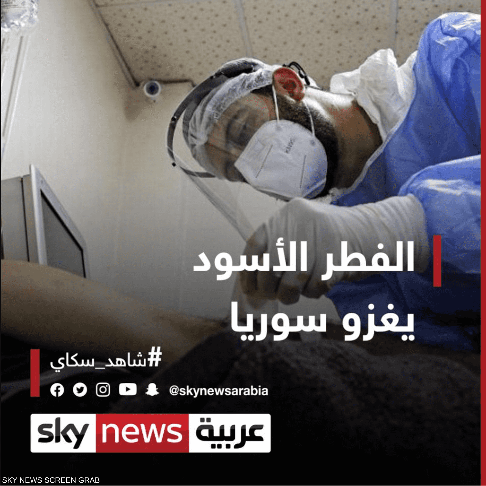 الفطر الأسود يغزو سوريا