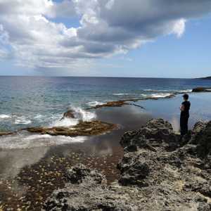 تونغا.. دولة تقع في جنوب المحيط الهادي