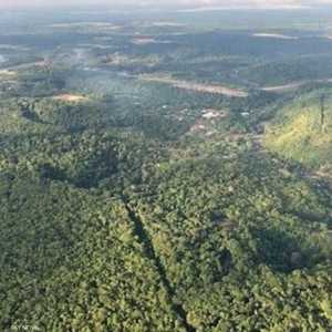 غابات الأمازون تواجه خطرا حقيقيا