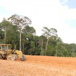 البرازيل.. غابات الأمازون تواجه خطرا بسبب أنشطة البشر