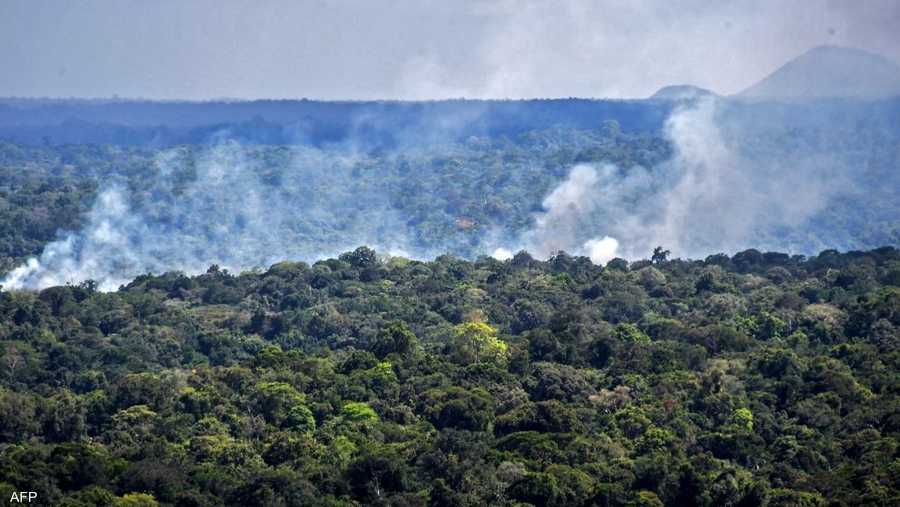 يقول معهد الموارد العالمية إن الغابات تمتص نحو 30 في المئة من انبعاثات غاز ثاني أوكسيد الكربون من الغلاف الجوي بما يحول دون تسببها في زيادة درجة حرارة الأرض.