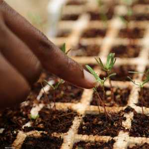 بقيادة الإمارات وأميركا إطلاق مبادرة الابتكار الزراعي للمناخ