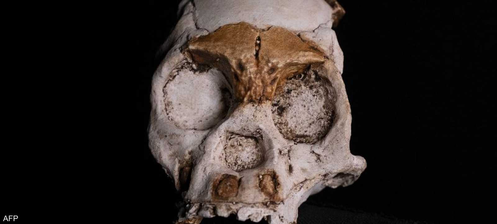 يعود تاريخ البقايا الأحفورية إلى 250 ألف سنة.