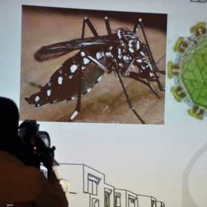 اكتُشف فيروس "زيكا" الذي ينقله البعوض للمرة الأولى عام 1947