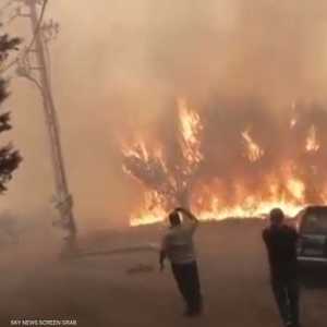 لبنان.. النيران تلتهم أجزاء واسعة من الأحراج في البقاع