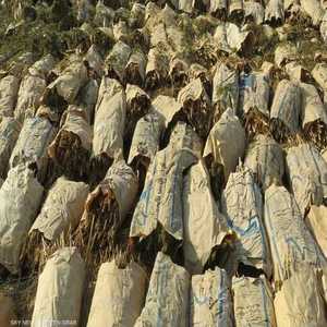 الأمن المصري يضبط أكبر قضية مخدرات بالإسماعيلية