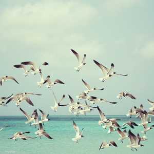 الاختفاء كان يحدث تقريبًا دون أن يلاحظه أحد