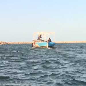 الهجرة غير الشرعية تمثل قلقا أمنيا واجتماعيا