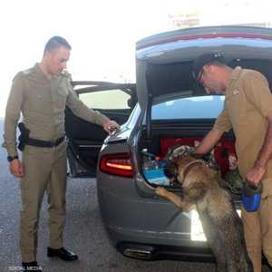 المديرية العام لمكافحة المخدرات تطارد مهربي المخدرات