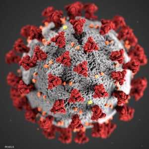 الفيروس ظهر أواخر 2019