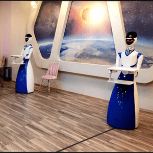 جانب من مطعم "وايت فوكس"