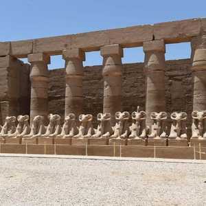 تشهد الأقصر استعدادات مكثفة لإقامة فعاليات وعروض فنية عديدة