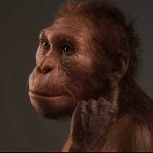 كشفت "الحلقة المفقودة" أن هذا النوع كان يمشي على قدميه