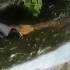 الرجل طن أن التمساح بلاستيكي