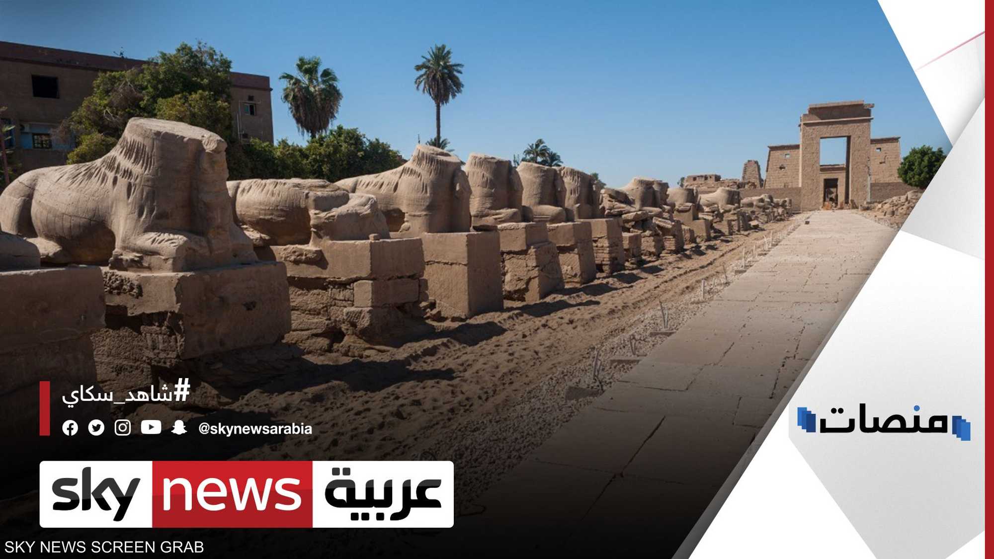 مصر تستعد لافتتاح "طريق الكباش"