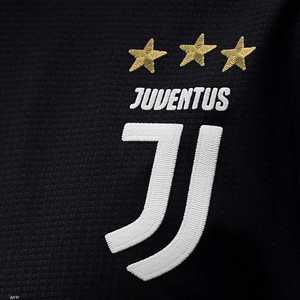 أرشيفية.. شعار نادي يوفنتوس الإيطالي