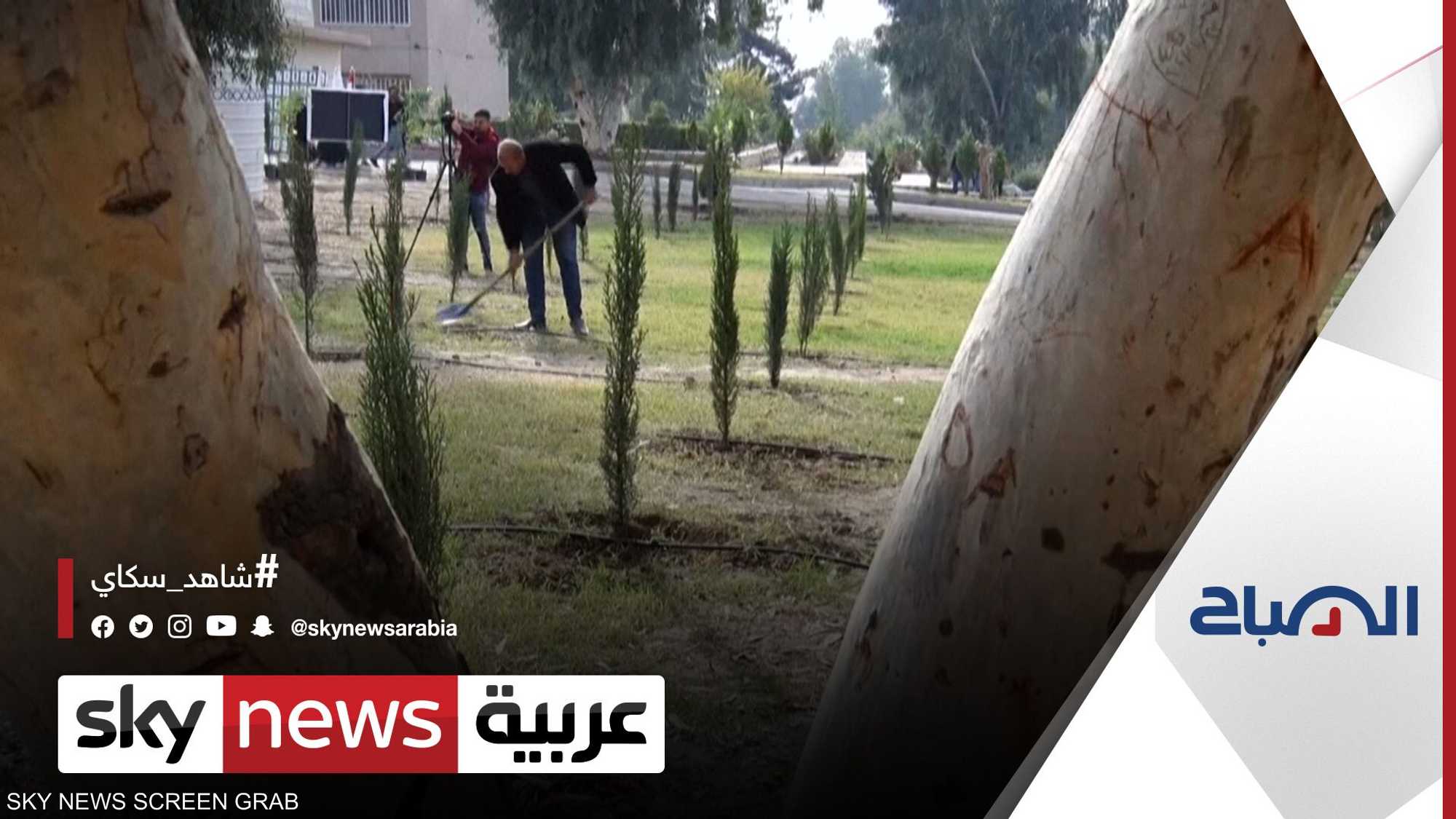 الموصل.. حملة تشجير تسعى لزراعة 5 آلاف شجرة