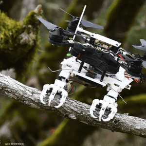 الدرون جرى تطويرها في الولايات المتحدة