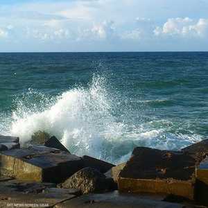 الإسكندرية تتعرص لنواة قاسم في مطلع ديسمبر.