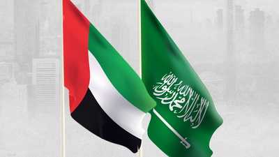 الإمارات والسعودية تؤكدان سعيهما إلى تعزيز التعاون والتكامل
