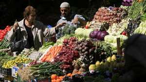 أسعار الخضراوات والفواكه انخفضت في مصر مؤخرا