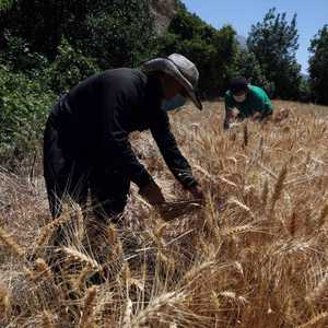 التغيرات المناخية مسؤولة بدرجة كبيرة وأساسية عن الأزمة