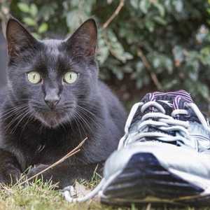 كيث يعشق سرقة متعلقات الجيران