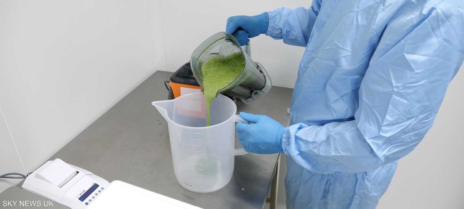 اللقاح يعتمد على أوراق التبغ