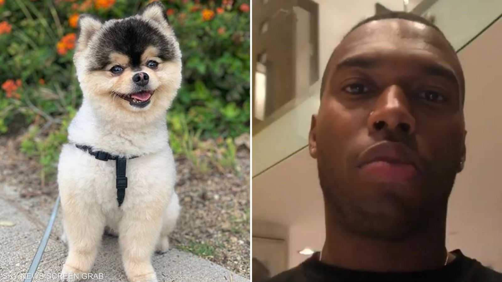 ستوريدج استعاد كلبه لكنه لم يف بتعهده