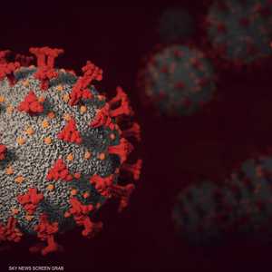 فيروس كورونا المستجد ظهر أواخر 2019