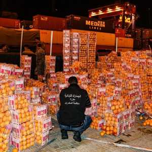 ضبطت الأقراص المخدرة داخل شحنة نم الحمضيات