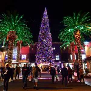 قصة شجرة الكريسماس تعود لمئات الأعوام