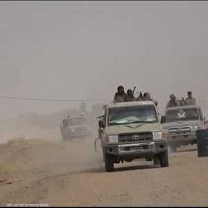 ألوية العمالقة في شبوة