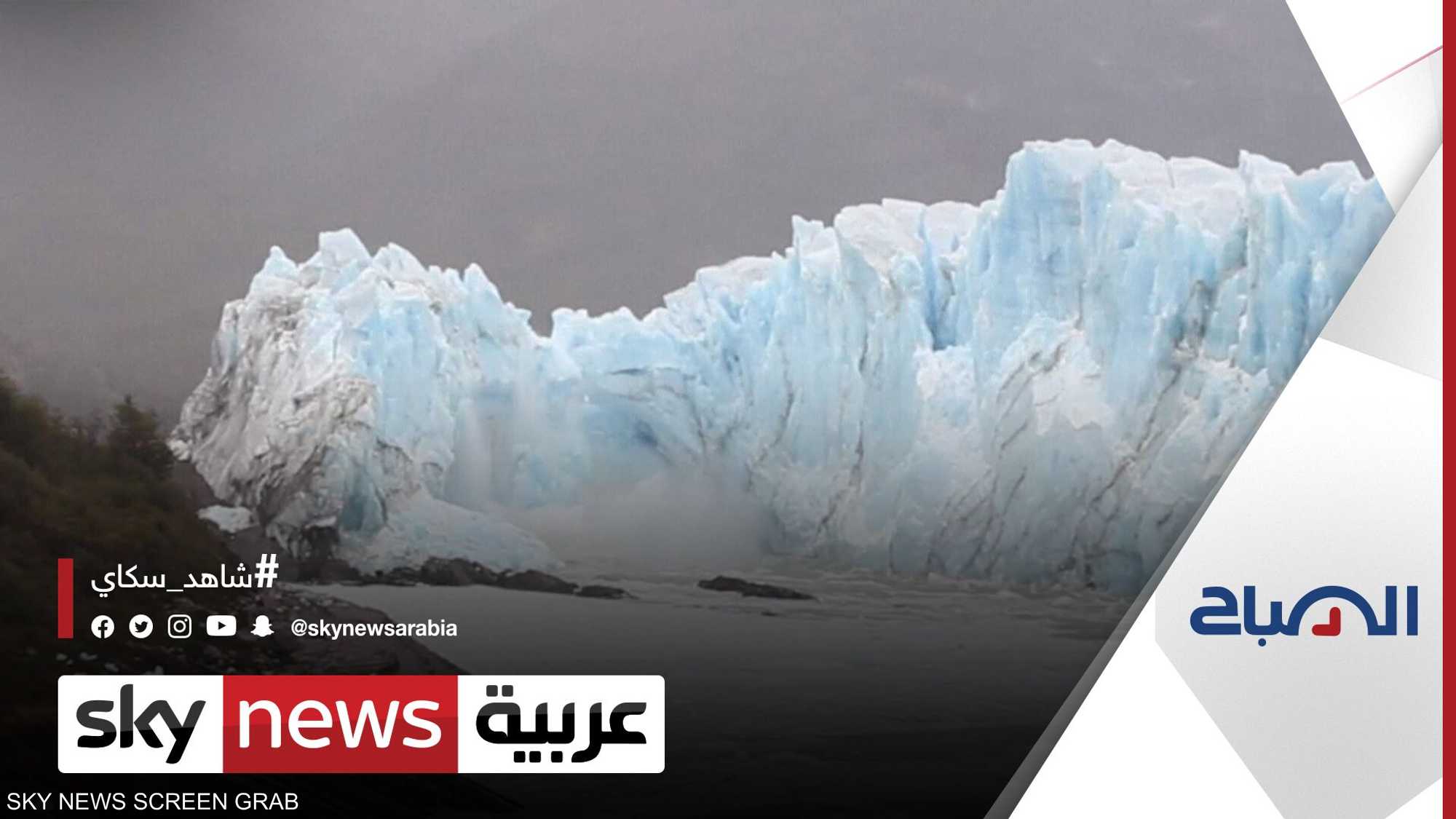 دعوات لإدراج التوعية البيئية ضمن مناهج الأطفال الدراسية