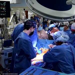 زراعة قلب خنزير معدل وراثيا في جسم إنسان