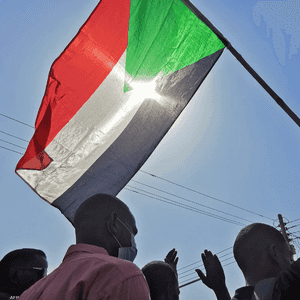 محتجون يحملون علم السودان - أرشيفية
