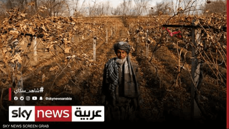 أفغانستان.. نحو نصف السكان يواجهون مستويات شديدة من الجوع