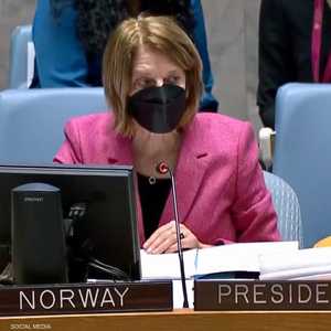 مجلس الأمن يدين بالإجماع "الهجمات الإرهابية" على أبوظبي