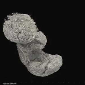 جنين ظل موجودا داخل مومياء مصرية