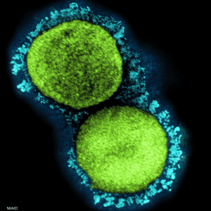 جزيئات فيروس كورونا