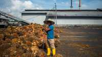 أحد المصانع في إندونيسيا لاستخراج زيت النخيل