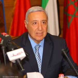 فهمي يتولى منصبه بدءا من الأربعاء