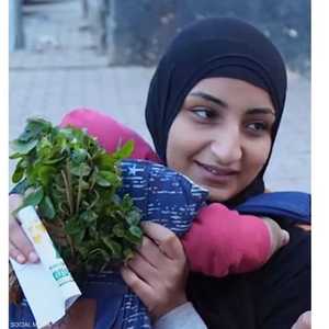 سيدة النعناع تشغل بال المغردين المصريين.