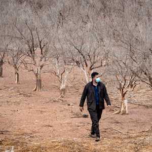 يكافح المغرب أسوأ موجة جفاف في 30 عاما.