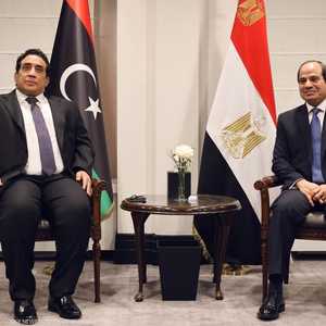 جانب من لقاء السيسي والمنفي