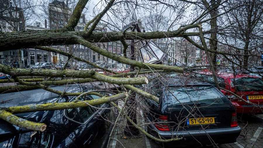 قتل تسعة أشخاص على الأقل في العاصفة، العديد منهم نتيجة سقوط الأشجار، في إيرلندا وبريطانيا وبلجيكا وهولندا.