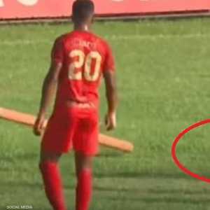 لحظة محاولة الامساك بالأفعى في أرض الملعب.