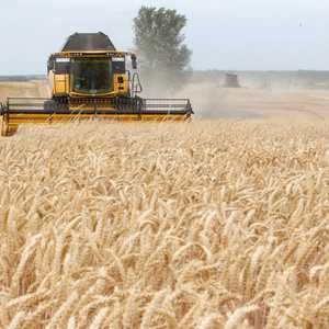 تشكل أوكرانيا 4 % من الإنتاج العالمي للقمح