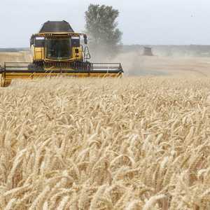 أوكرانيا من بين كبار منتجي ومصدري الحبوب بالعالم.