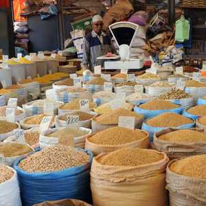 يعتبر القمح المستورد من أوكرانيا أبرز منتج في واردات المغرب